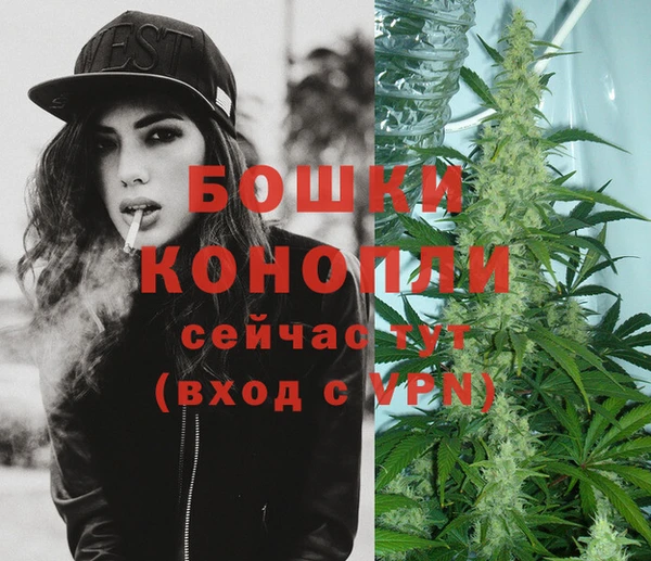 мдпв Богородск