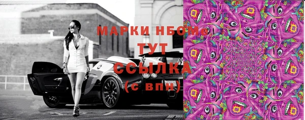 мдпв Богородск