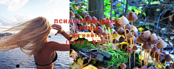 трава Богородицк