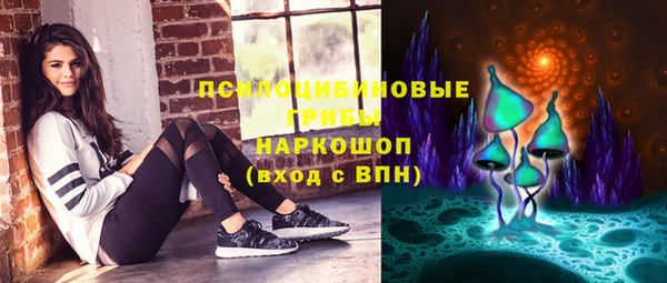 трава Богородицк