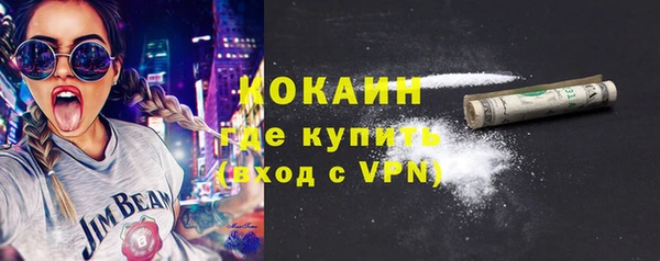 мдпв Богородск